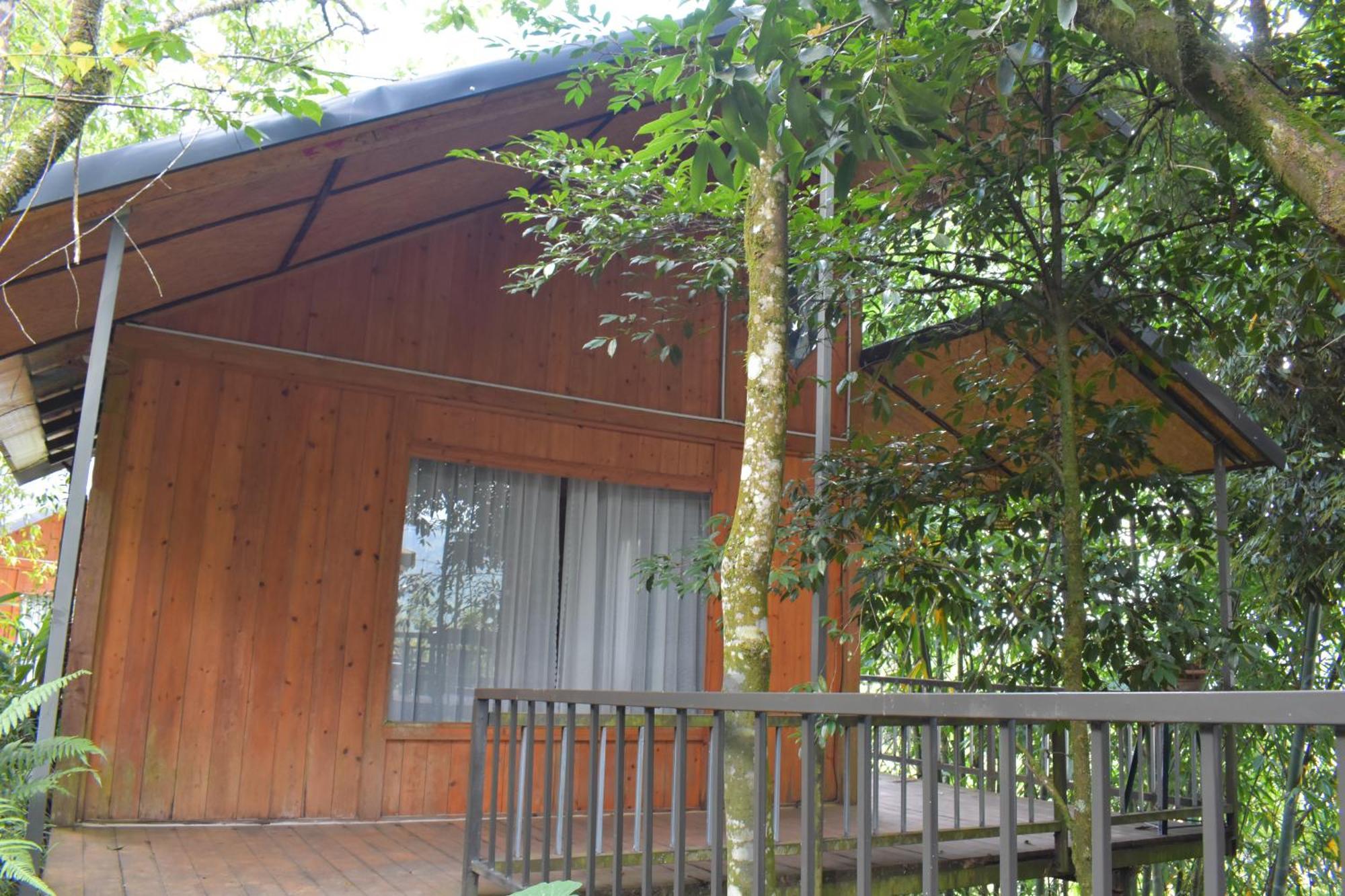 Sapa Jungle Homestay Bagian luar foto