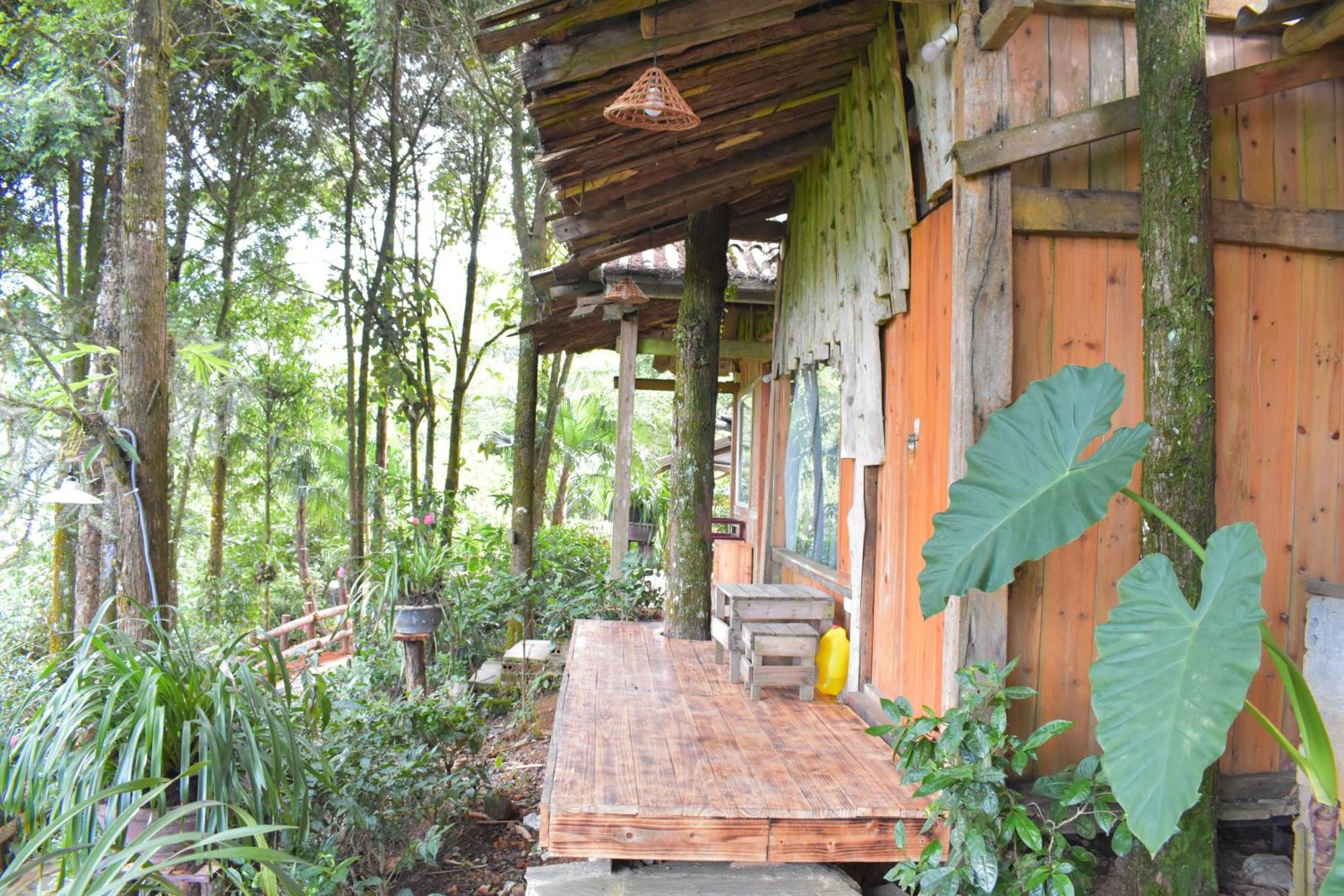 Sapa Jungle Homestay Bagian luar foto