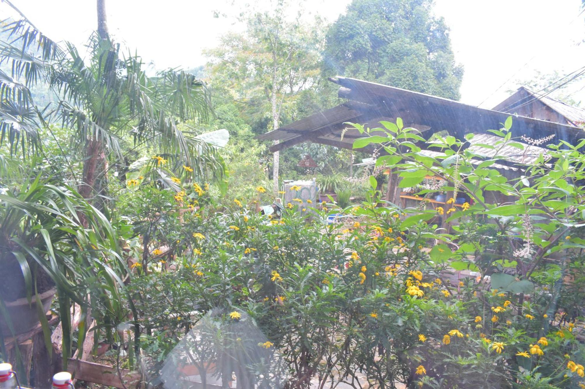 Sapa Jungle Homestay Bagian luar foto